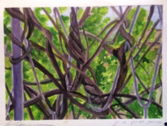 Vines on a fence Vines on a fence